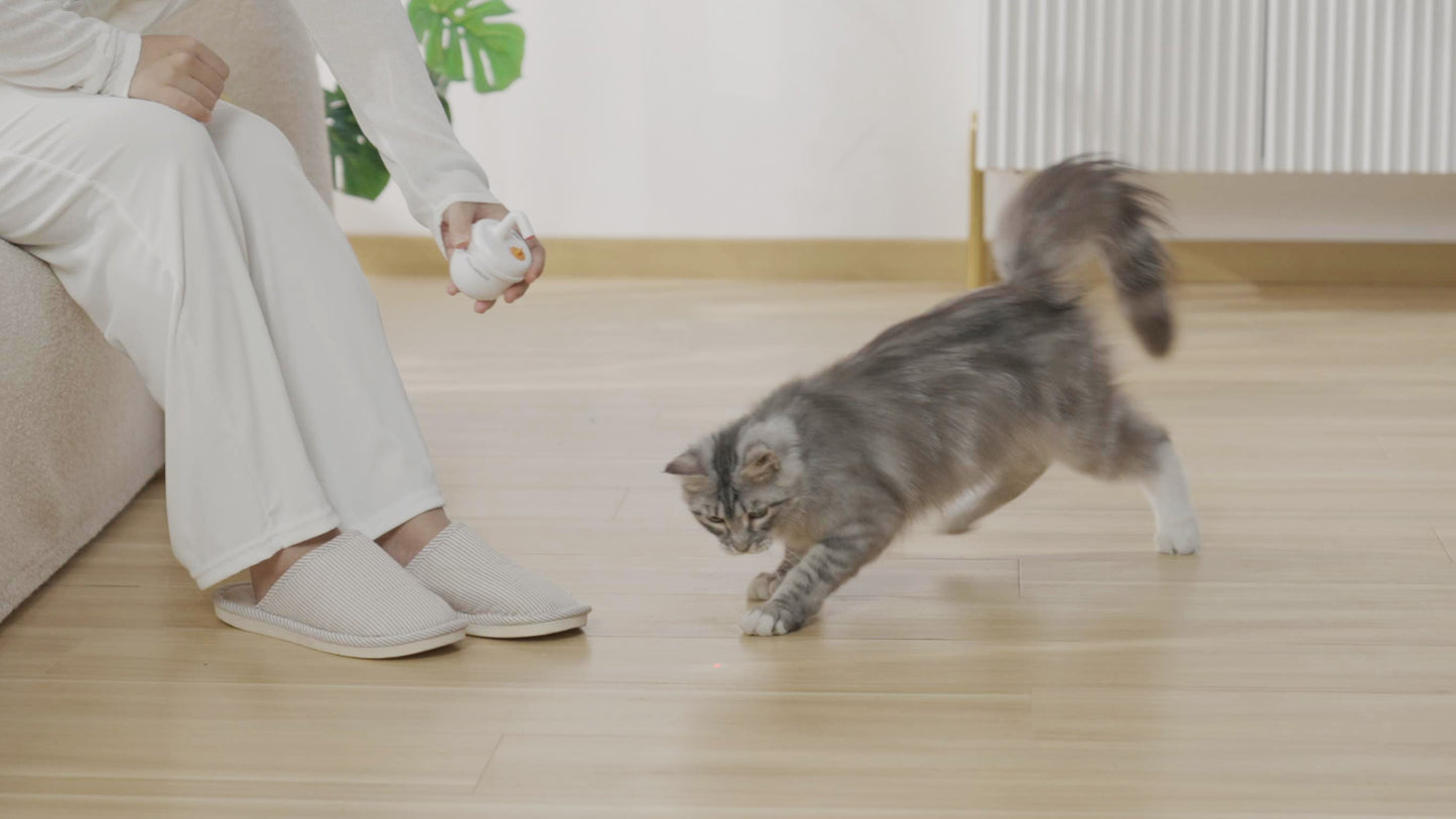 PawsAura Bubble Laser Cat Toy - Kimbowny Petstore