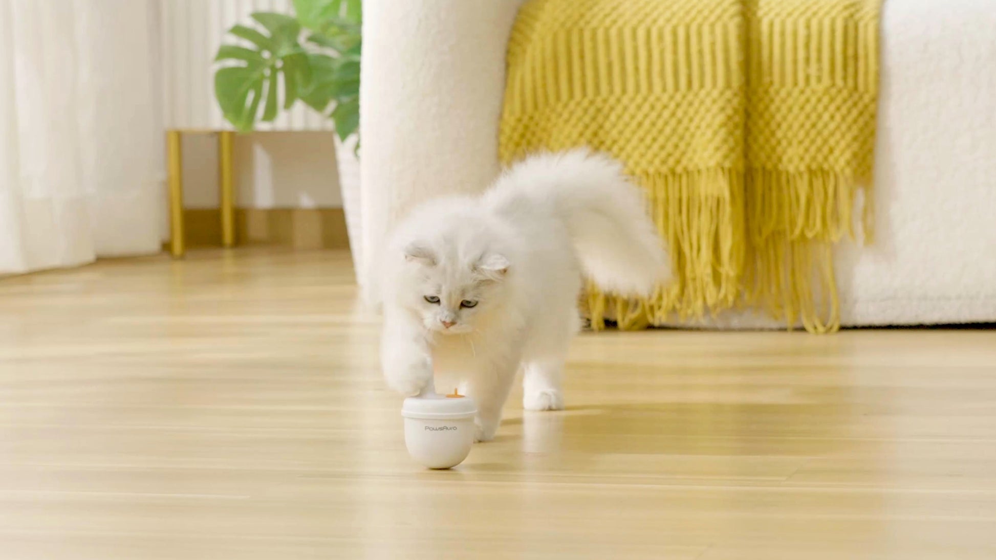 PawsAura Bubble Laser Cat Toy - Kimbowny Petstore