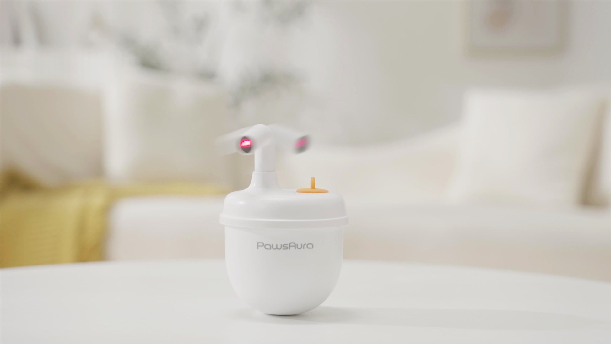 PawsAura Bubble Laser Cat Toy - Kimbowny Petstore