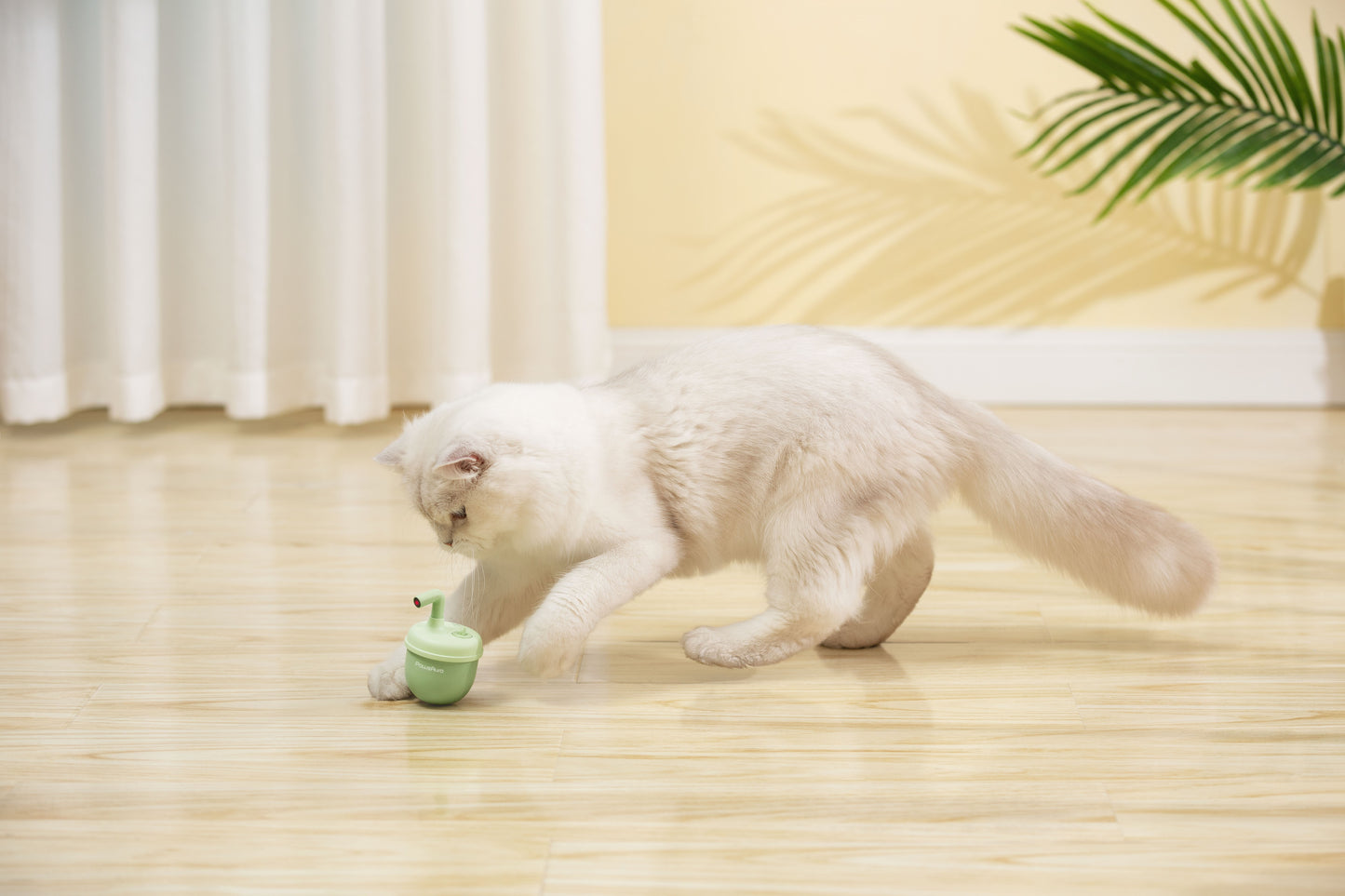 PawsAura Bubble Laser Cat Toy - Kimbowny Petstore