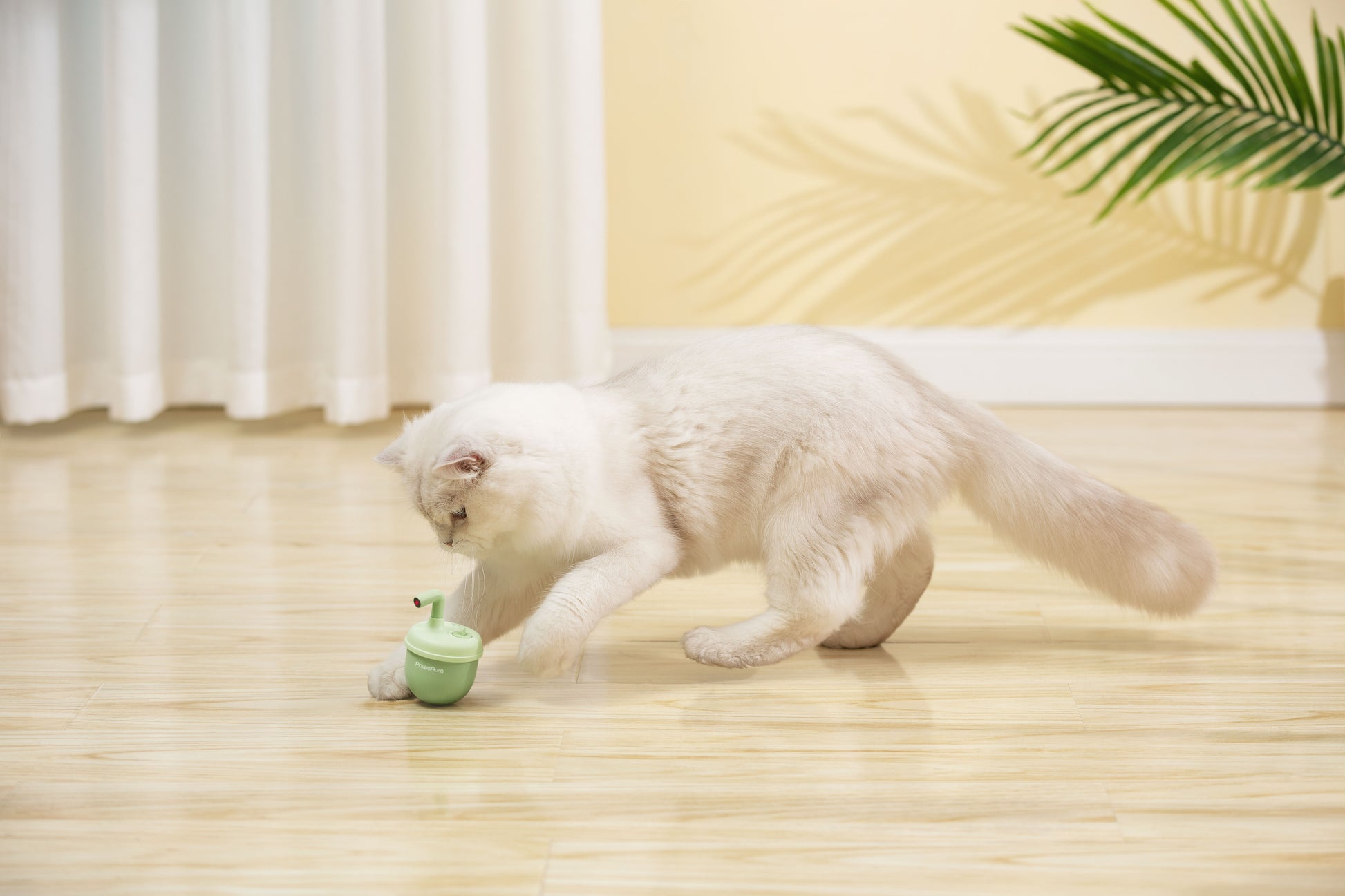 PawsAura Bubble Laser Cat Toy - Kimbowny Petstore