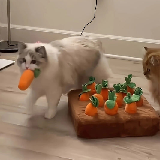 1726280140778-68eb00e08e374952bbc3a6db84676987-goods