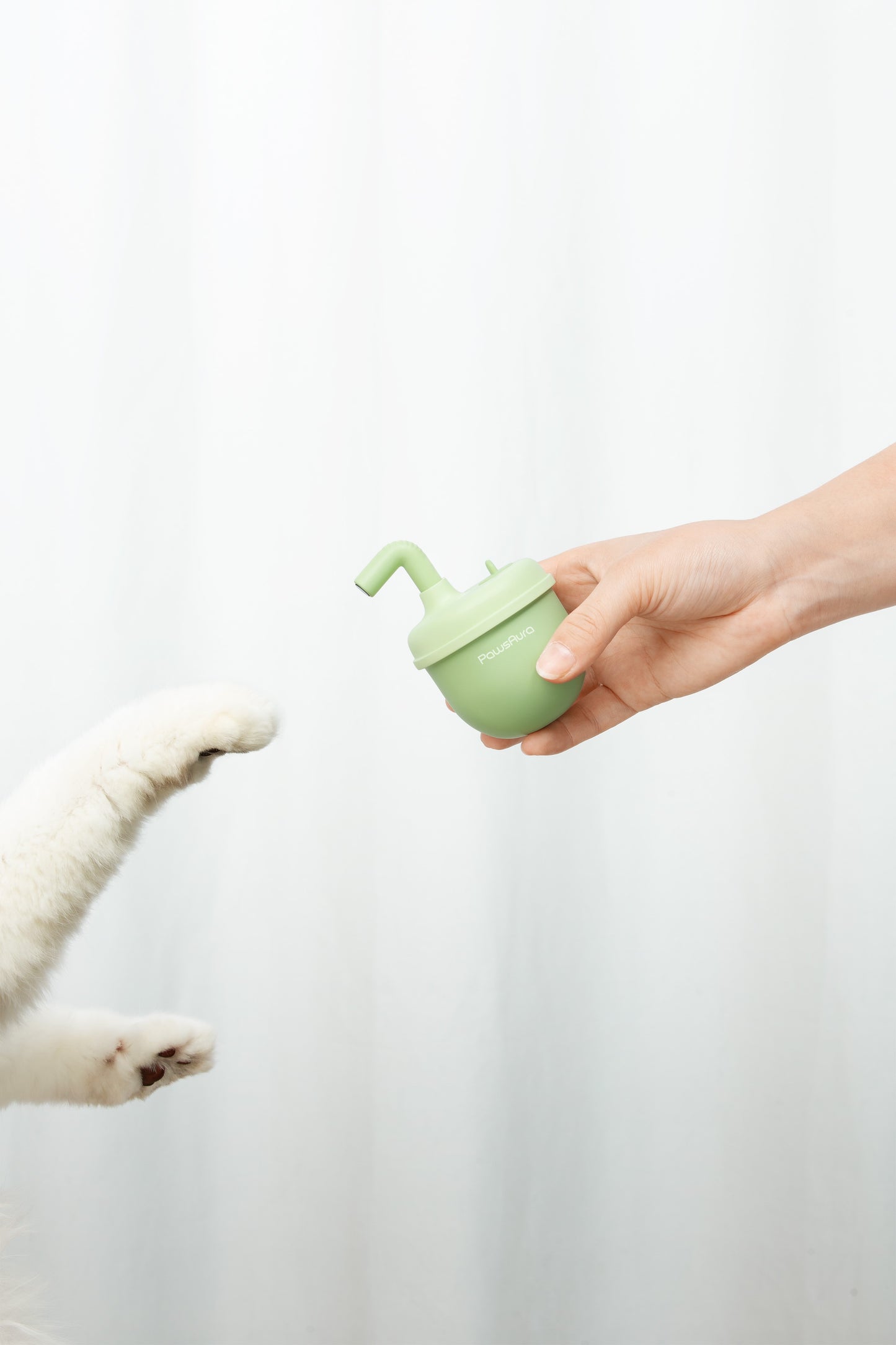 PawsAura Bubble Laser Cat Toy - Kimbowny Petstore