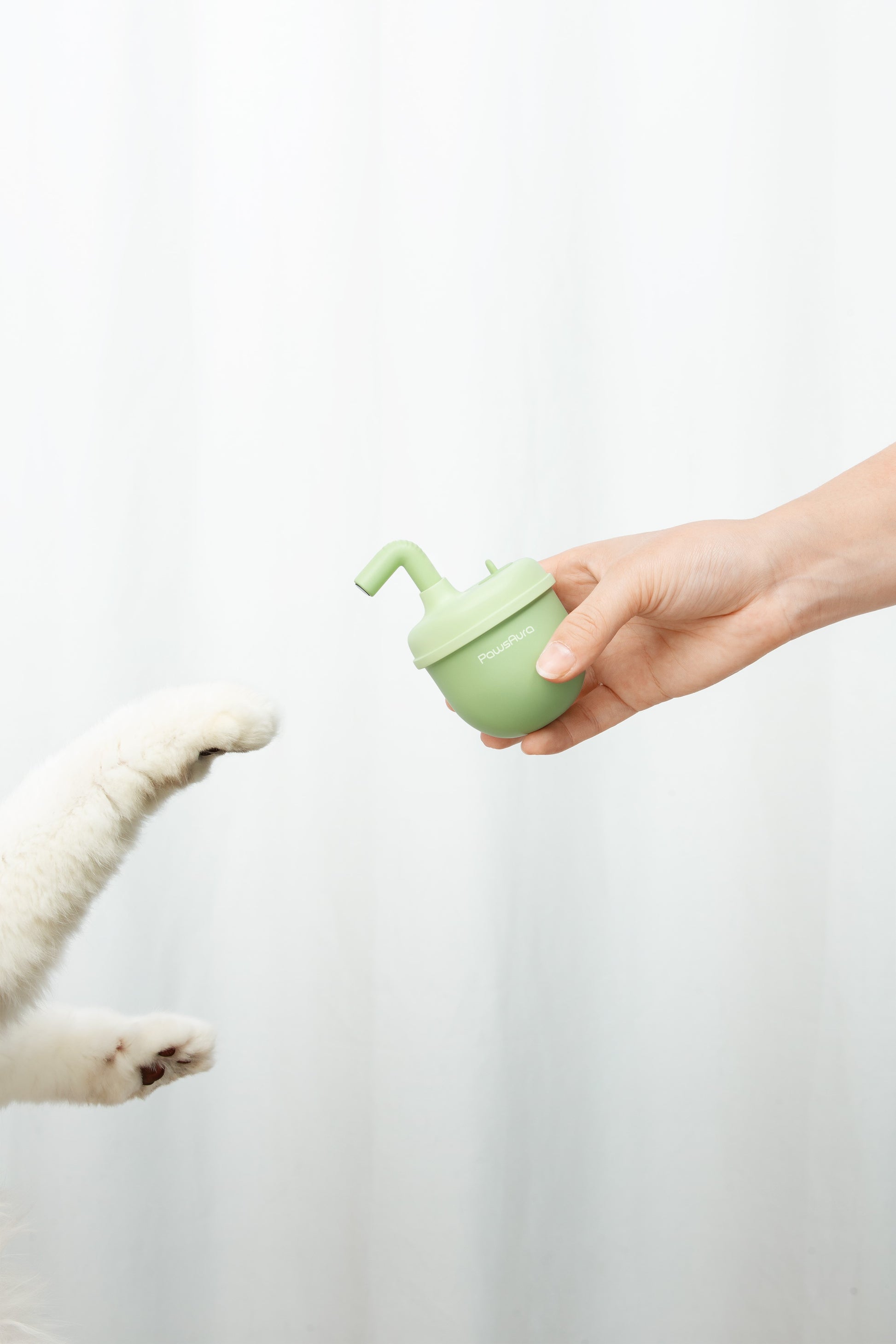 PawsAura Bubble Laser Cat Toy - Kimbowny Petstore