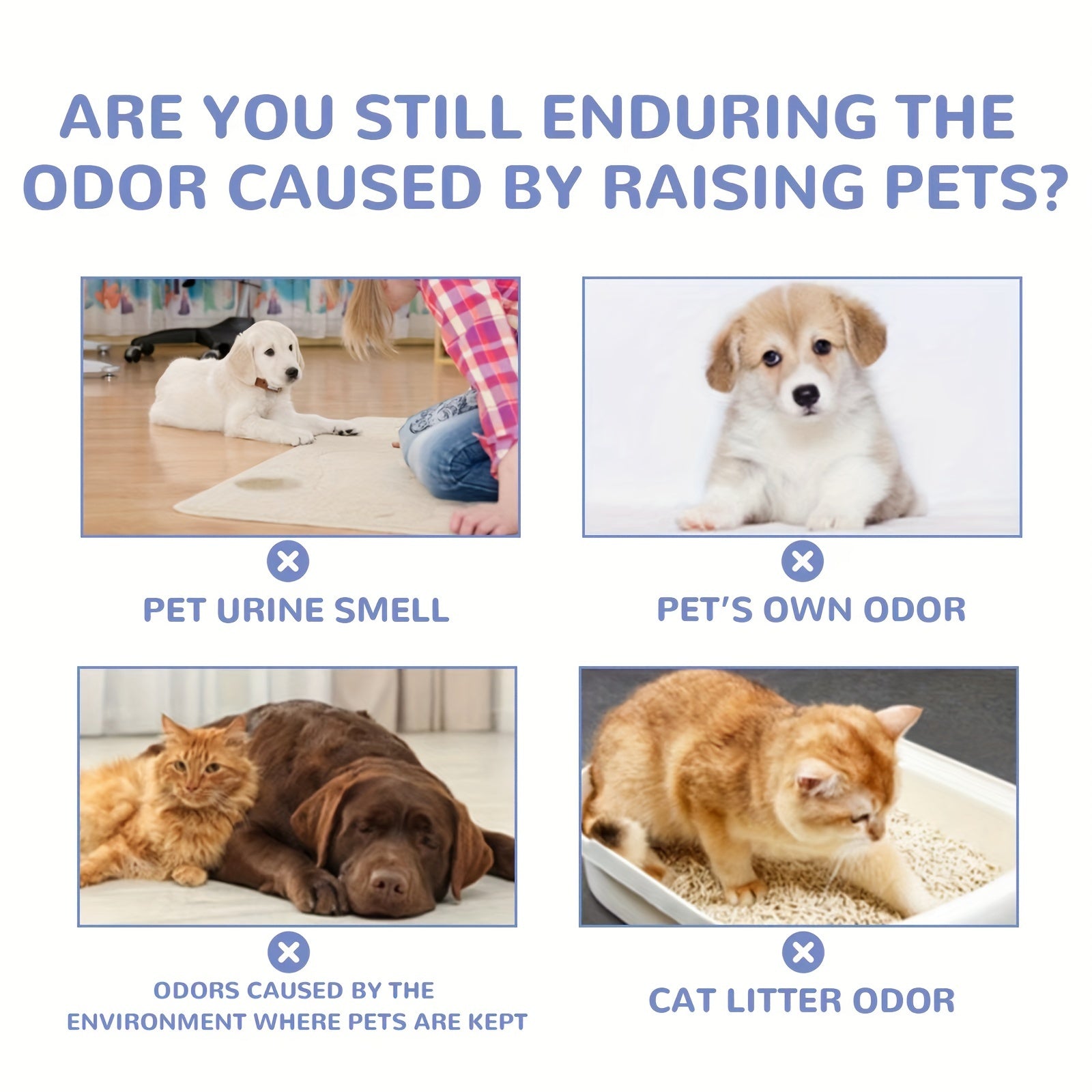 1a022eb0-fa0c-4c44-bcb2-36d1f92ad641