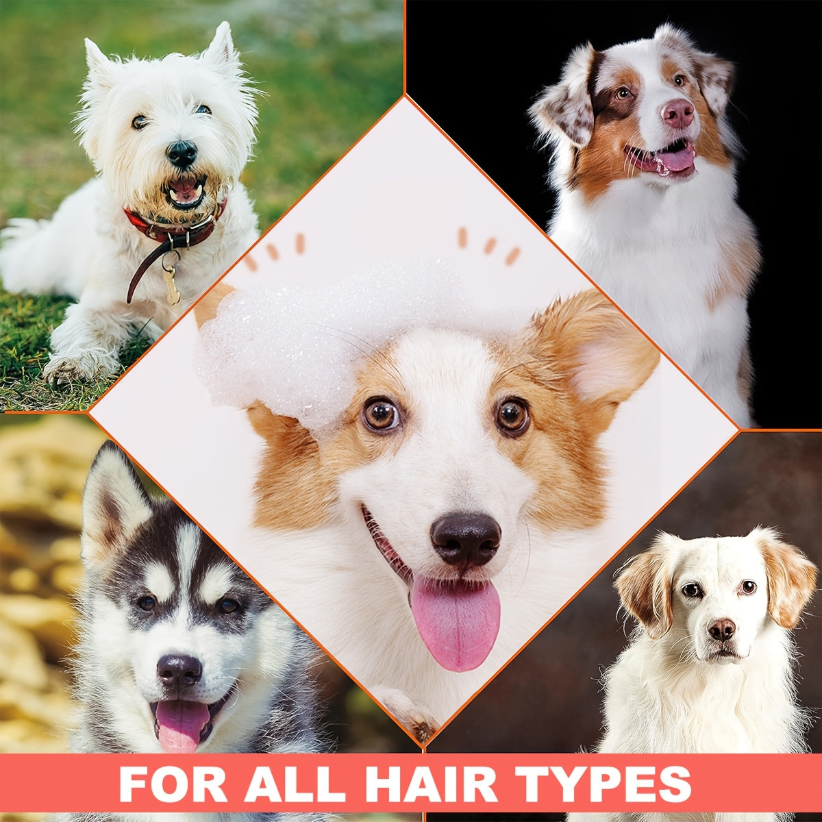 1ee72f05-2509-4666-b772-989de02a7ed4