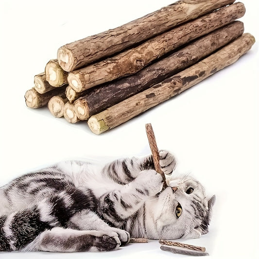 2a03c796-2521-404f-8afe-3afd71e1da84