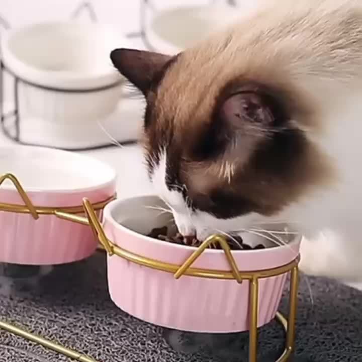 2ed38f30cc2cf84413a237e77af1a63bfcba87a0