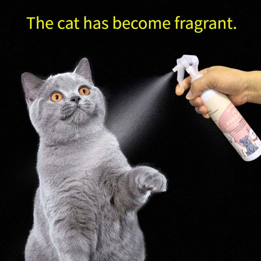 307ce597-2d02-4b19-8e74-60129902caaa_1000x1000