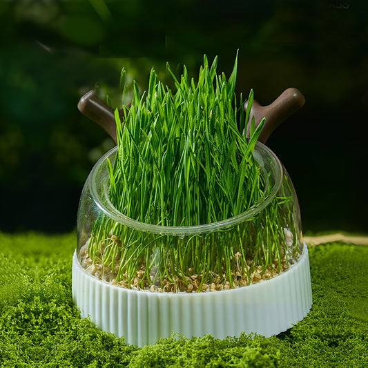 3c1034f8-ff39-4f35-a474-976b33d86039