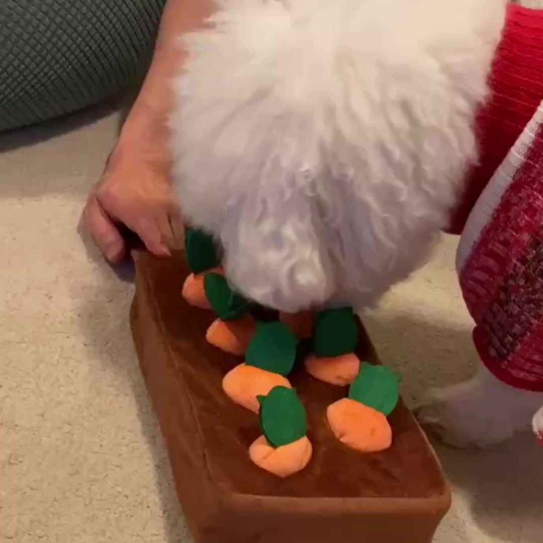 4020c123c86eac06b56f45e150dc19159fdeb036