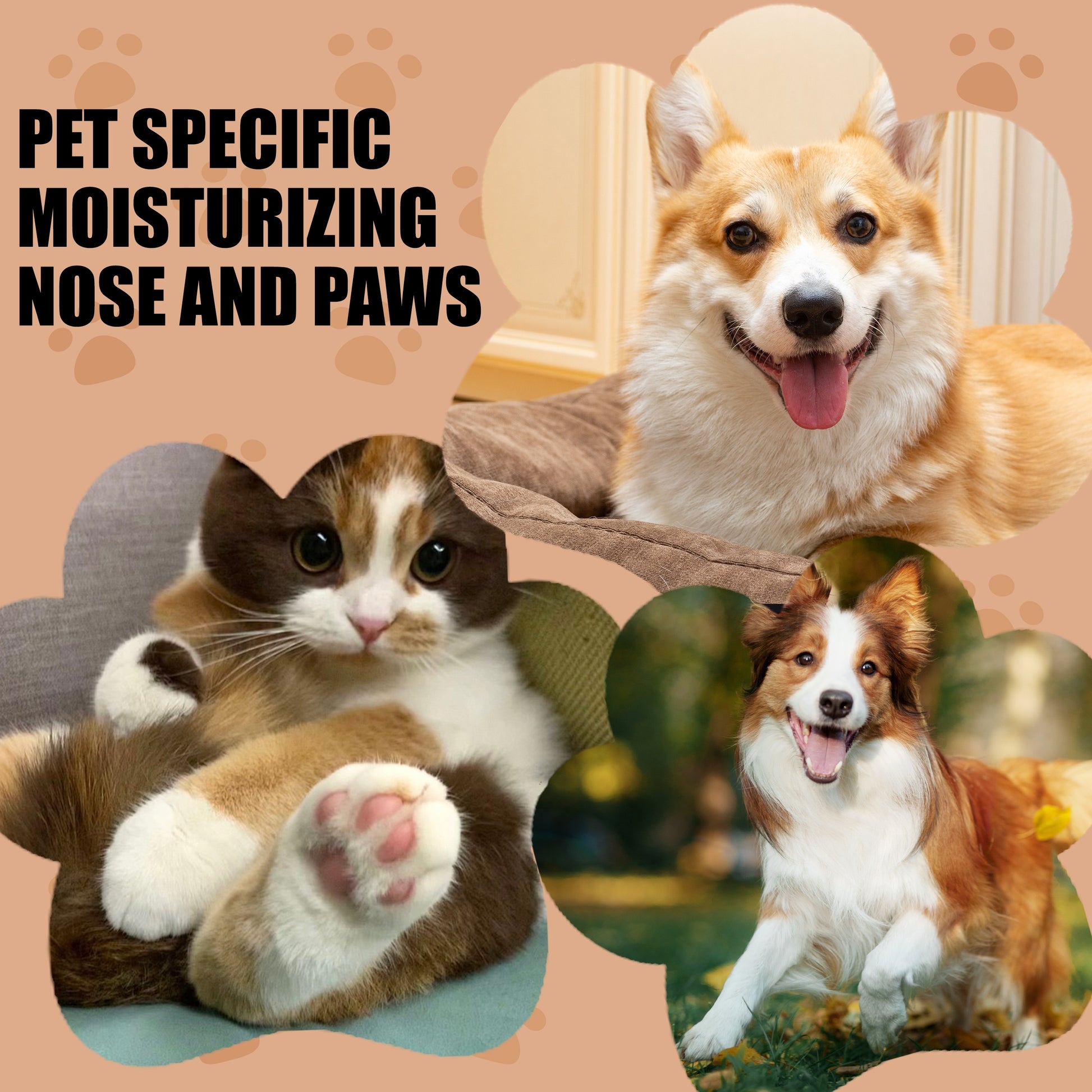 574c37fe-9a06-4536-8dcc-3219cca50a9d