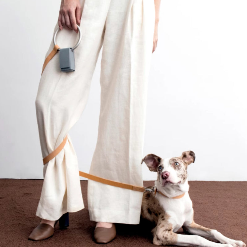 Luxury Leather Pet Collar & Leash Set - Kimbowny Petstore