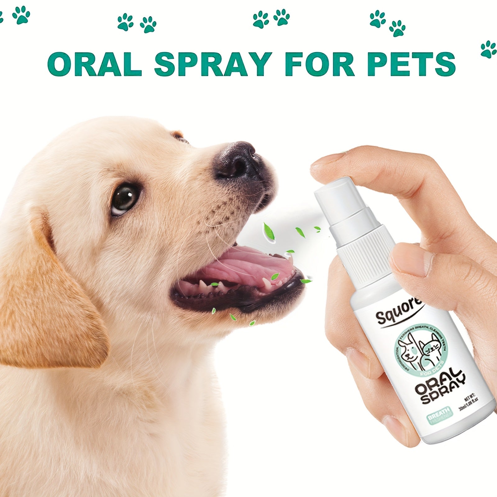 630a8622-9222-4027-80d5-9810d0626562