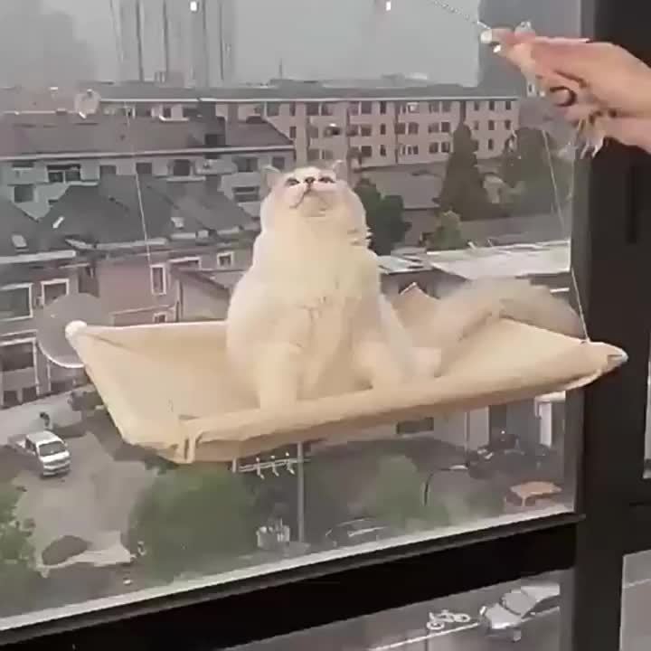 655dc22b6ac526d85d19aacc0915e8083b37876d