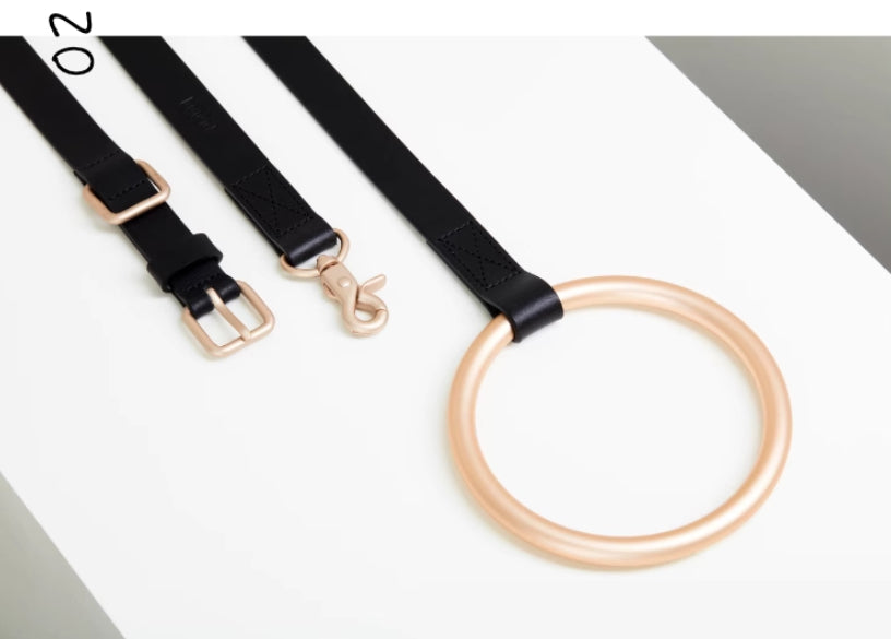 Luxury Leather Pet Collar & Leash Set - Kimbowny Petstore