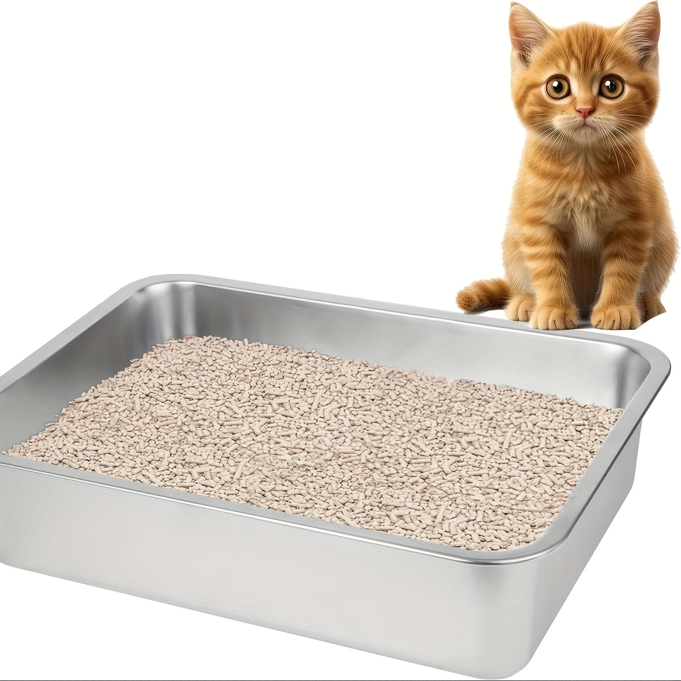 837ea598-5fc3-4356-bfe8-af2930cc28ec