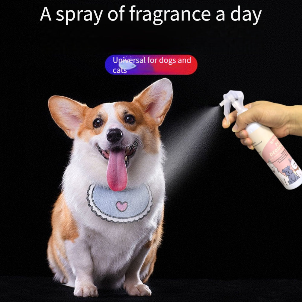 866384ce-c119-4729-a5cc-adc0fbca9f94_1000x1000