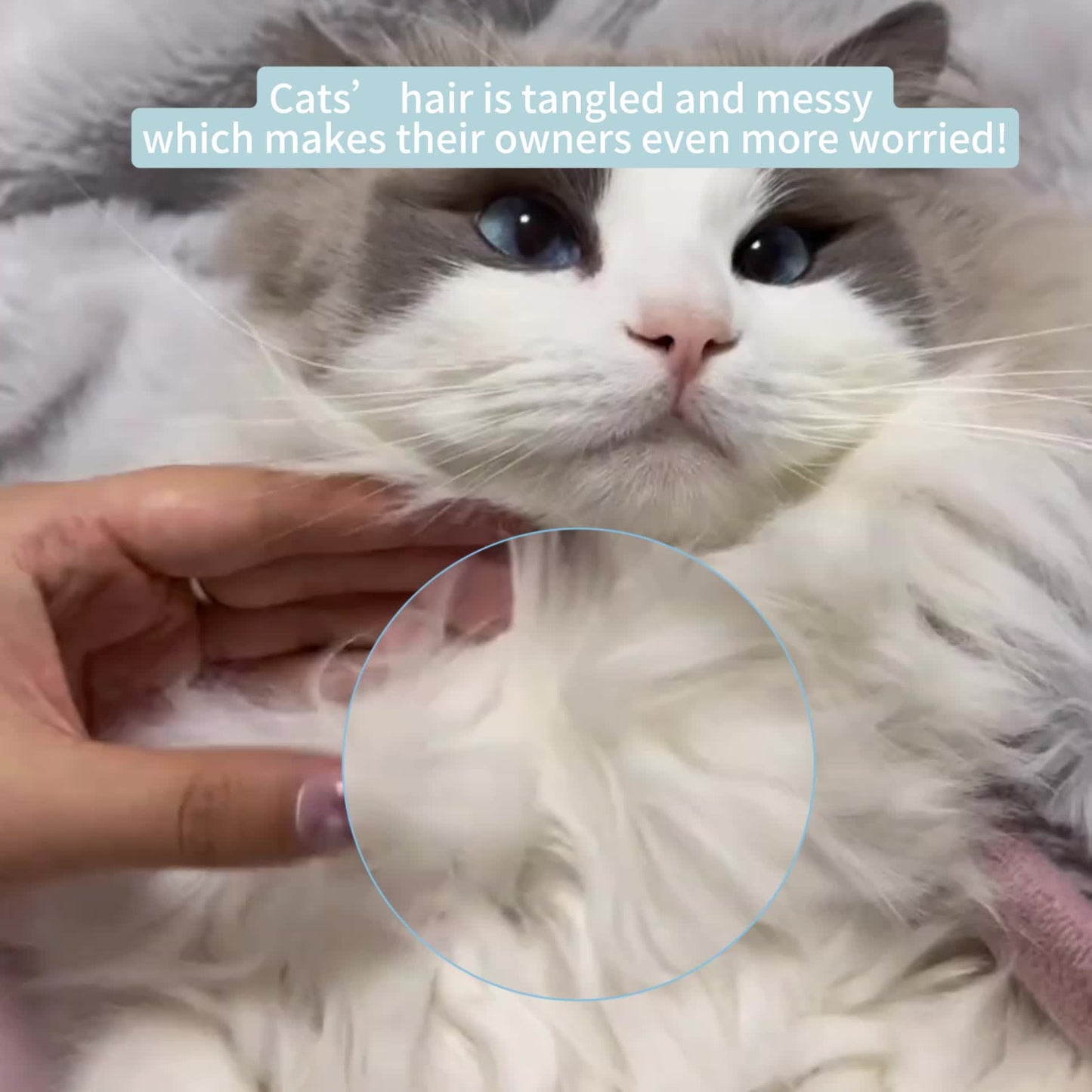 86f1025c31ac17c5654dd8a03b1f141635b9558d