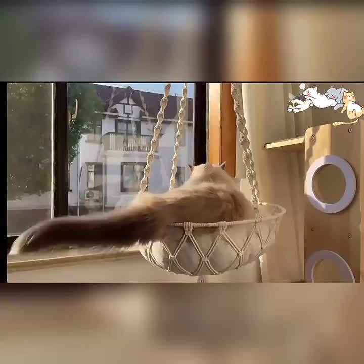 8a433c9b79d6eff77735c90ecb4e2f6aec7225c7