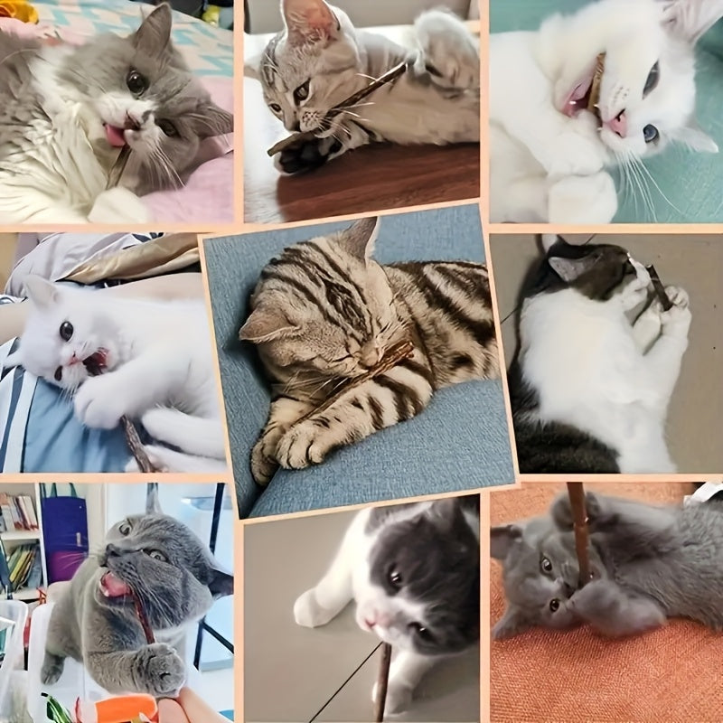 98011e53-b490-41ad-bec6-57361128954a