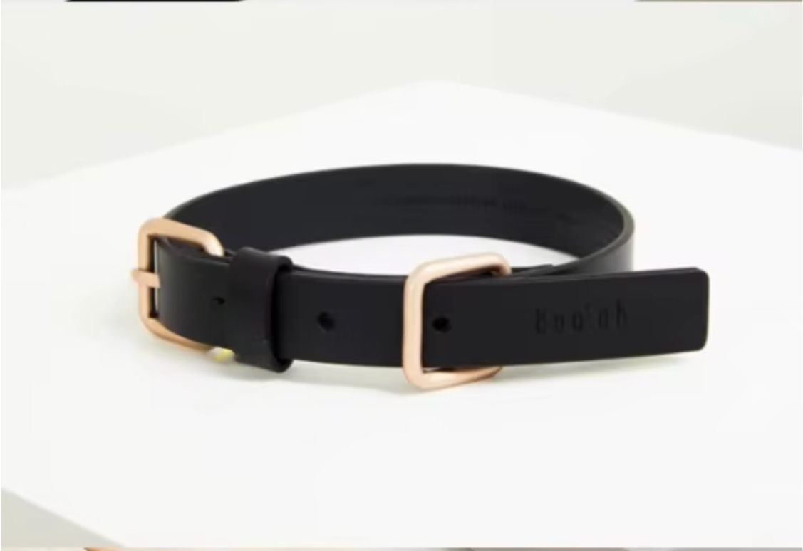 Luxury Leather Pet Collar & Leash Set - Kimbowny Petstore