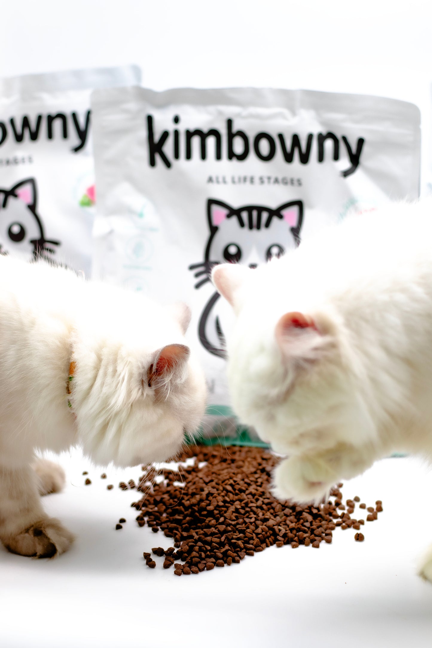 Premium No Grain Cat Food - Kimbowny Petstore