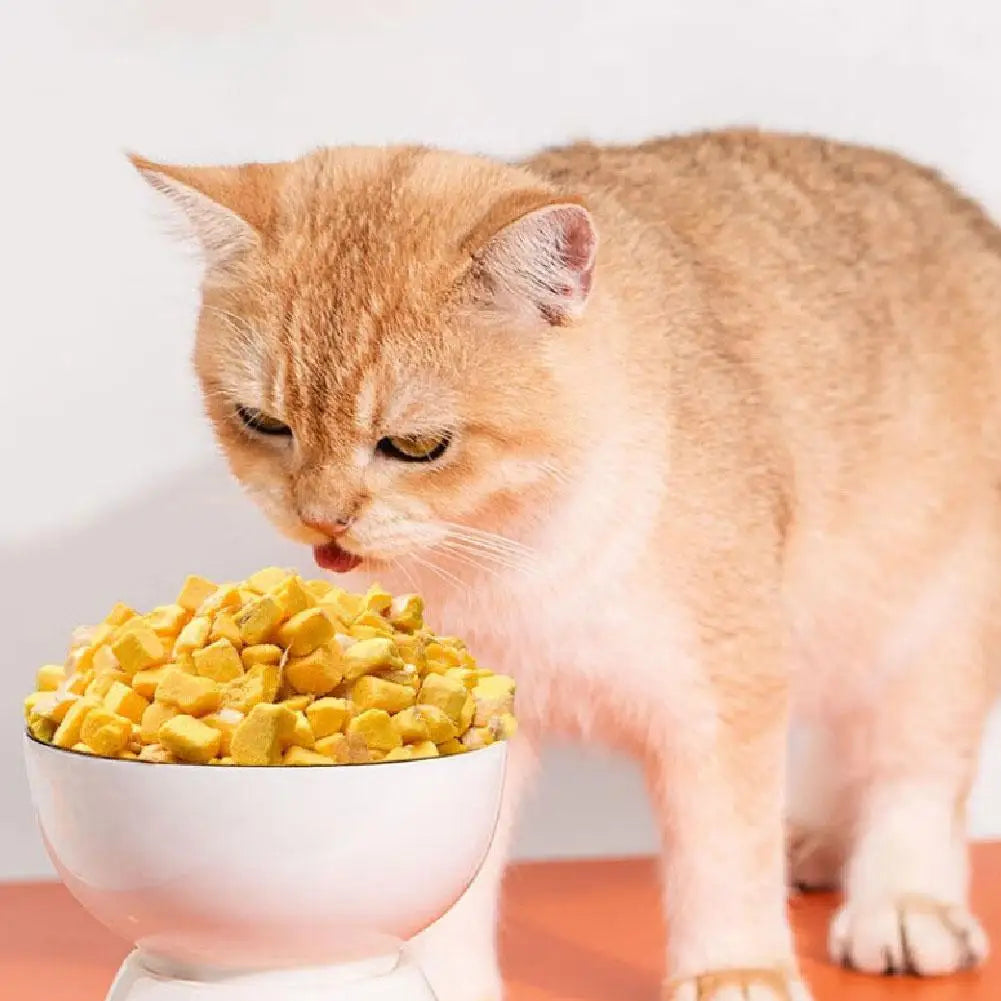 S1a169629de004463bd64ac5ded95cdf9j