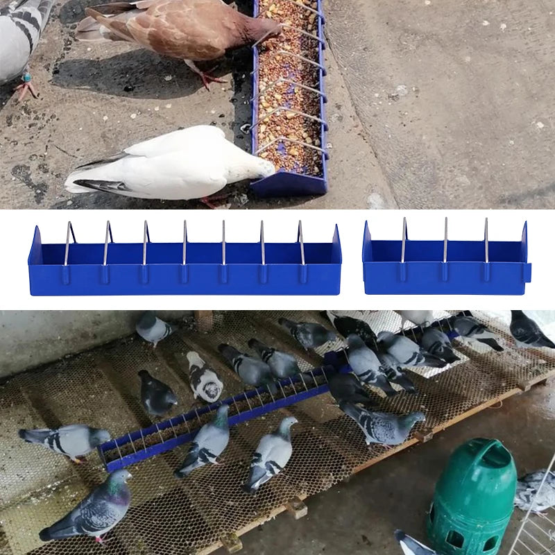 S2286621994dd4656981a21b5c52d260cX