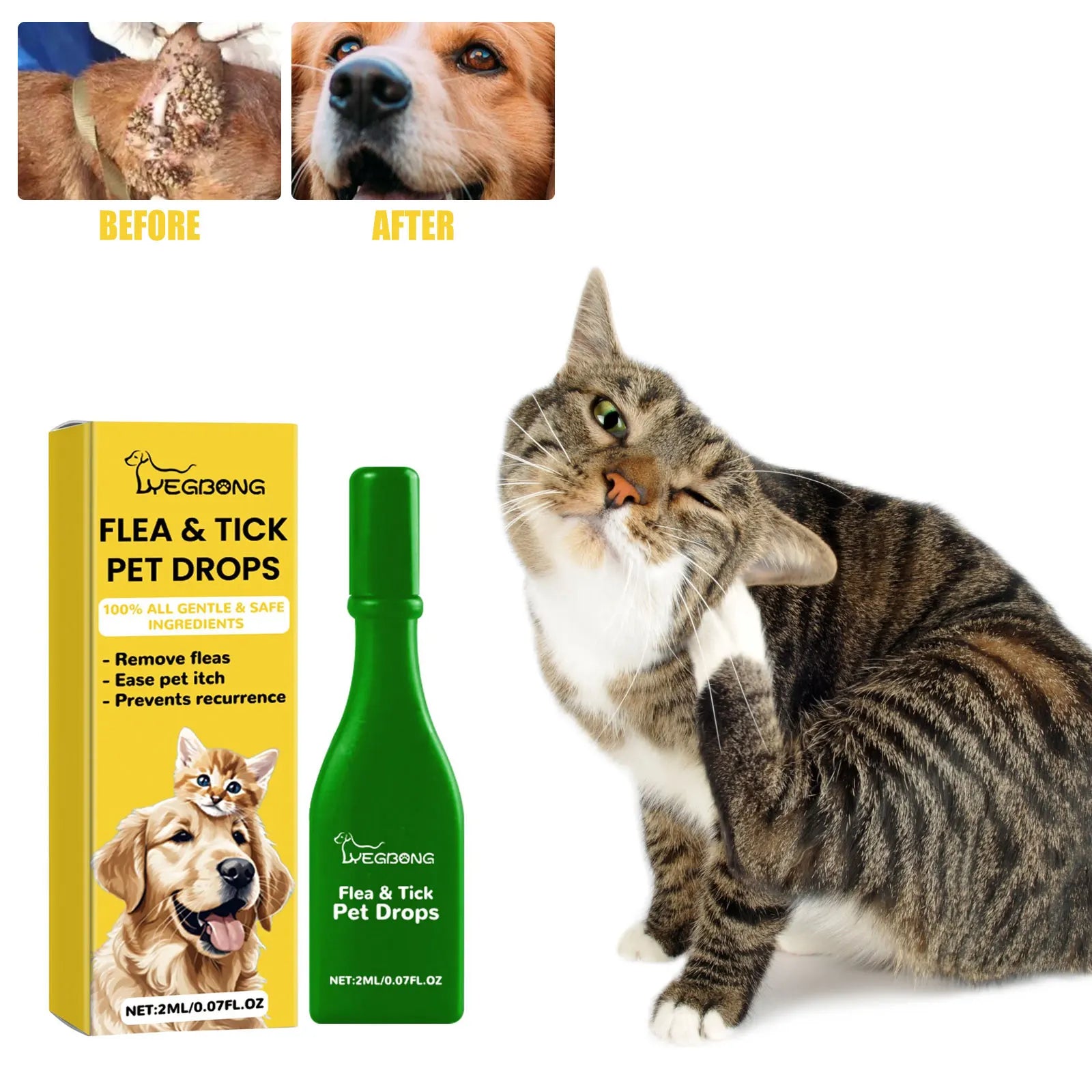 Thumbnail for Flea Medication For Cats With Skin Cancer And Arthralgia