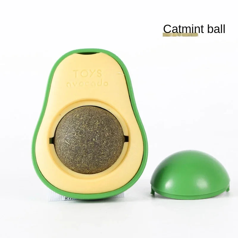 S294ac21ee3374ceaa36af37184a58a17j