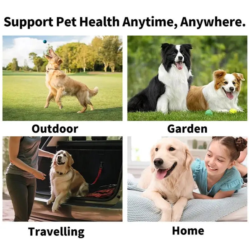 S54adf068c3a14faba6bbe7b7a240b7b05