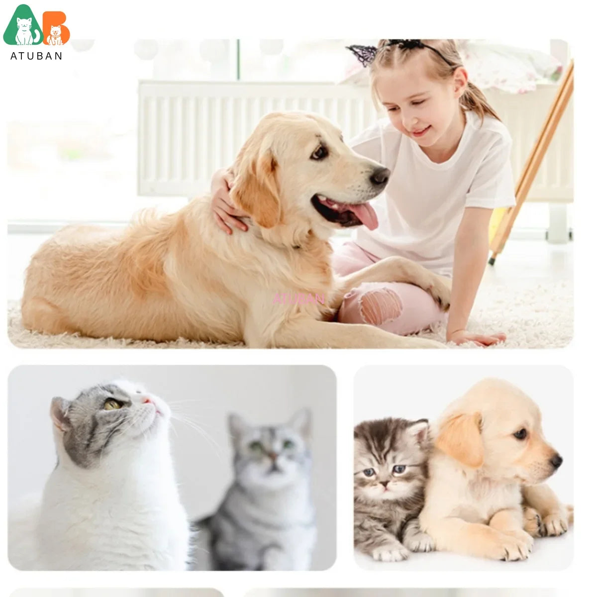 S6b9800d5b22643c7a74216f63cc4699df