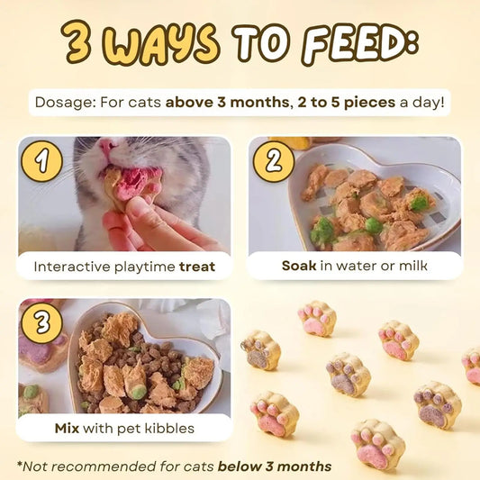 S90097410d8ae4d26b6d22d279147699dx