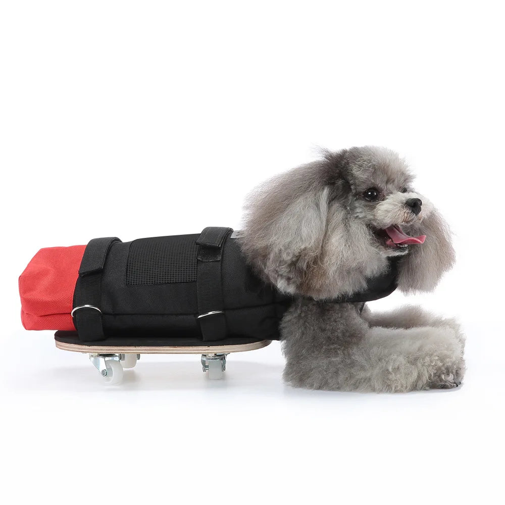 Sb33d6ccff77e4b2291414d90236f02a1a