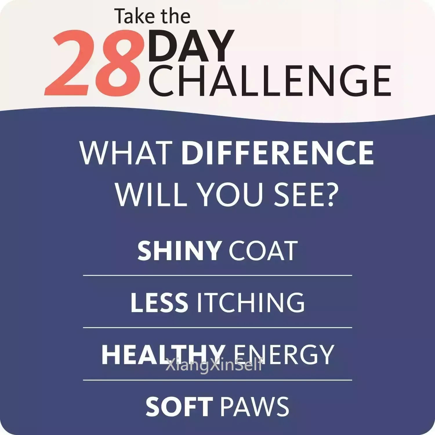 Sc606d225ffcf45b2ac80c8424740569eq