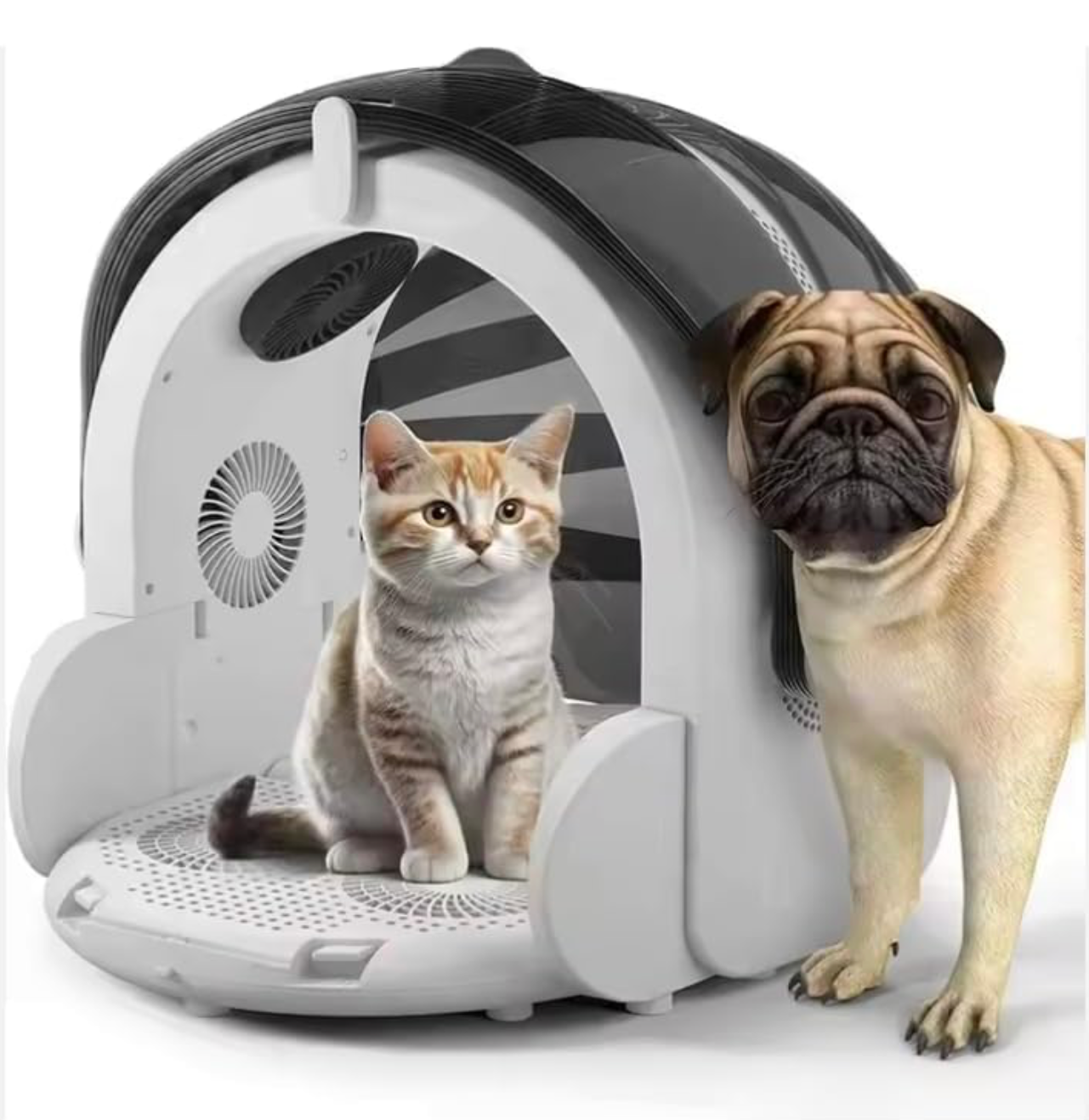 Pet hair Dryer - Kimbowny Petstore