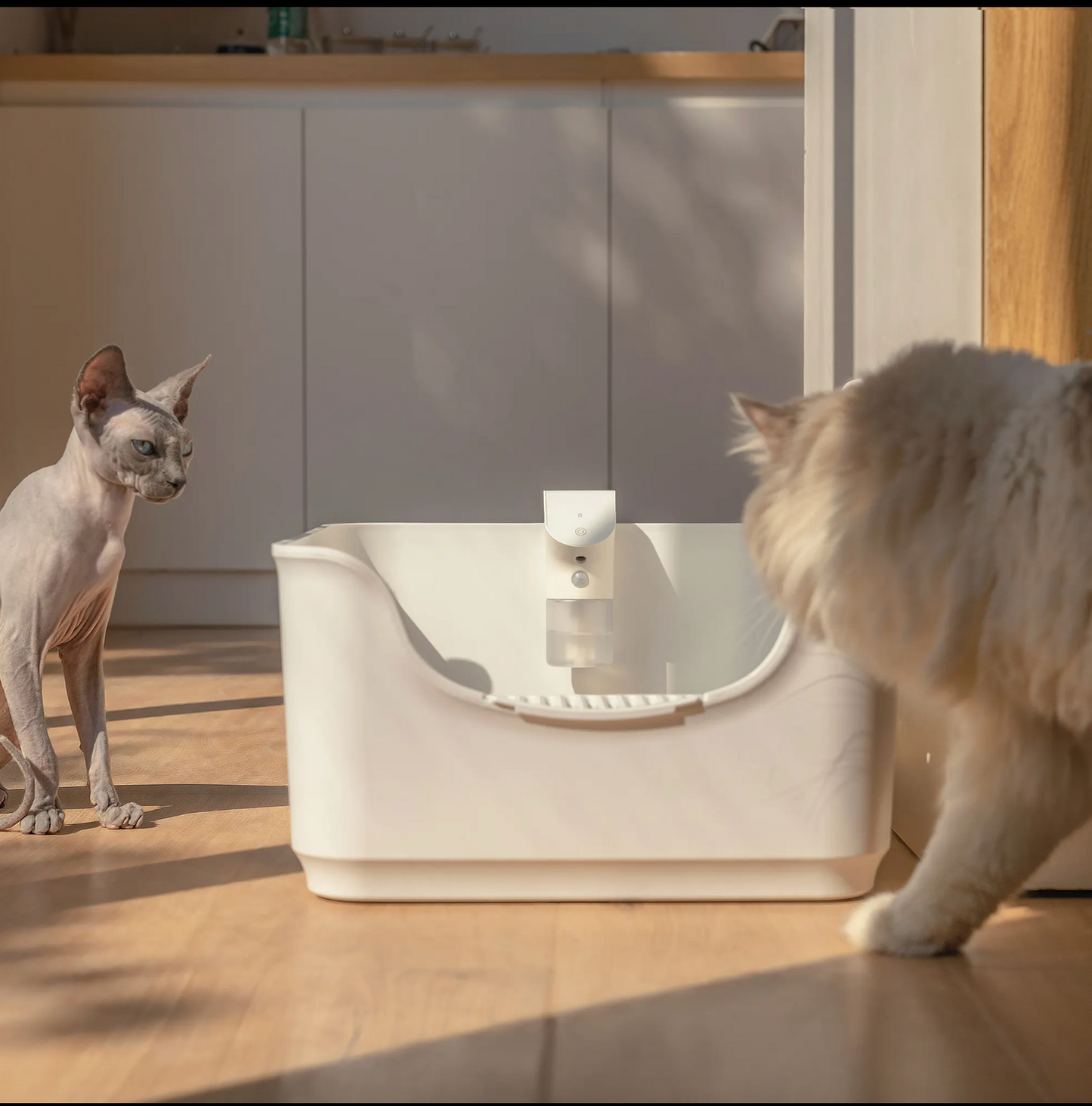 Cheerble Smart Pet Deodorizer - Kimbowny Petstore