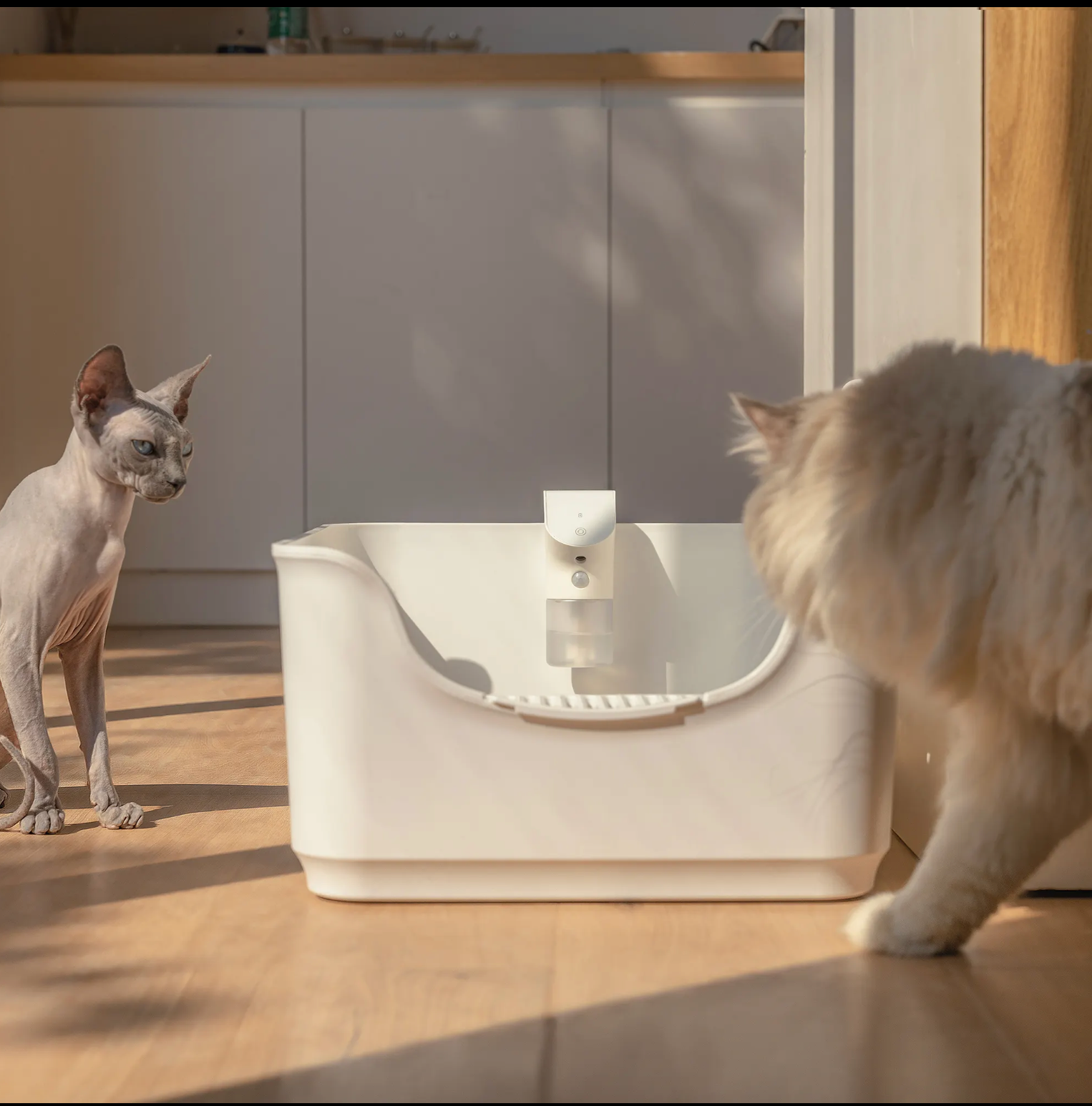 Cheerble Smart Pet Deodorizer - Kimbowny Petstore