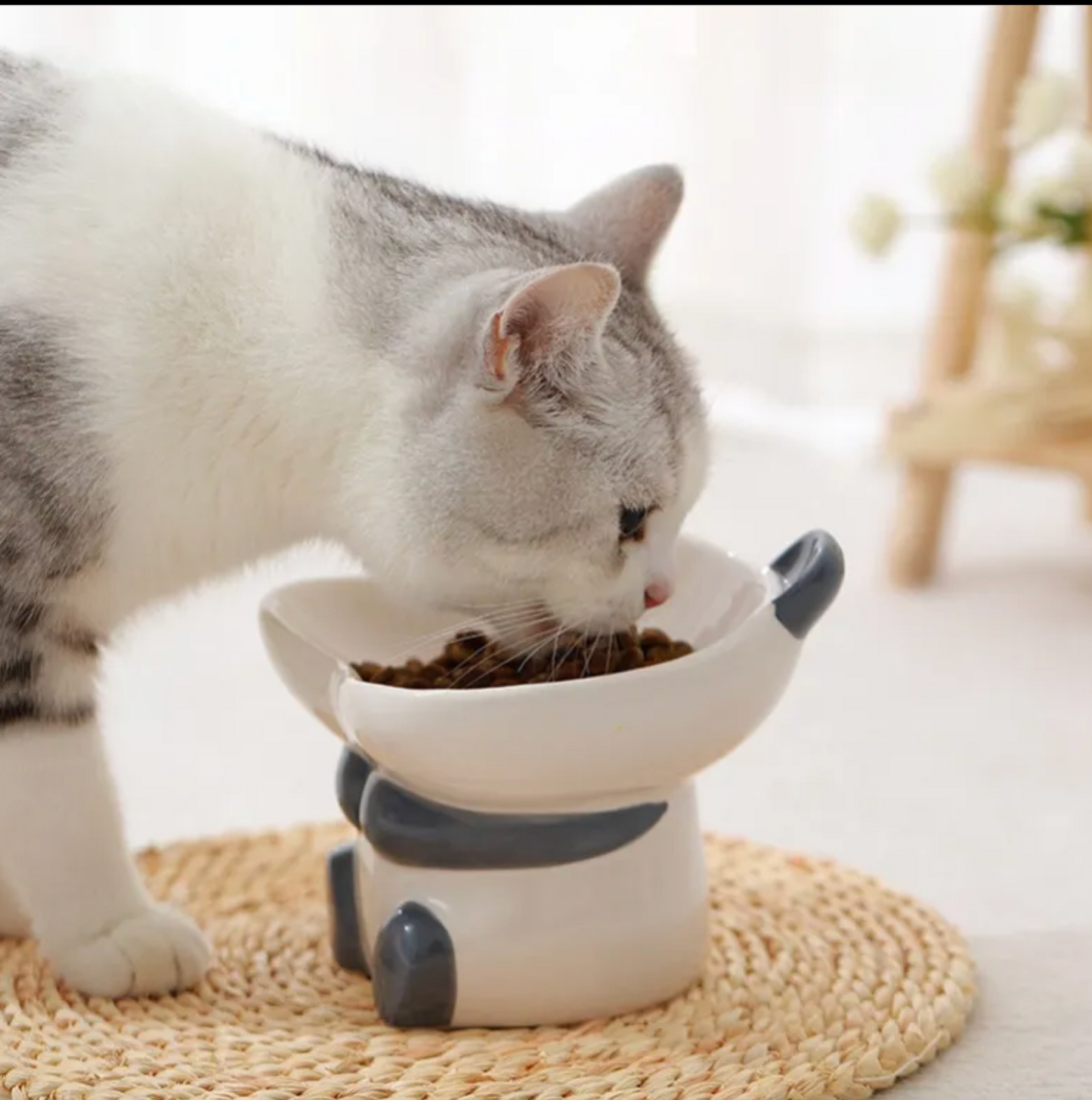 Ceramic Pet Bowl - Kimbowny Petstore