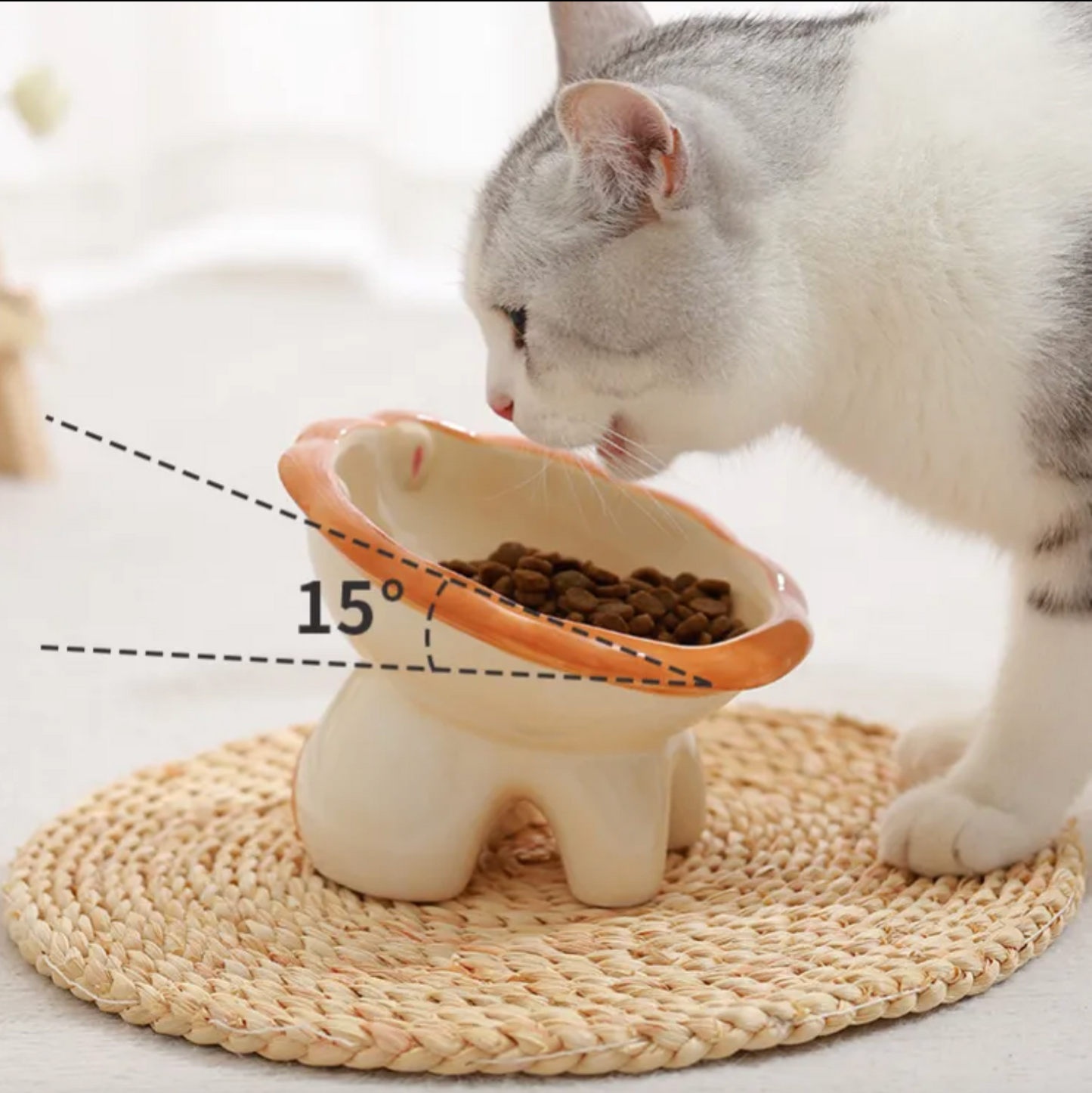 Ceramic Pet Bowl - Kimbowny Petstore