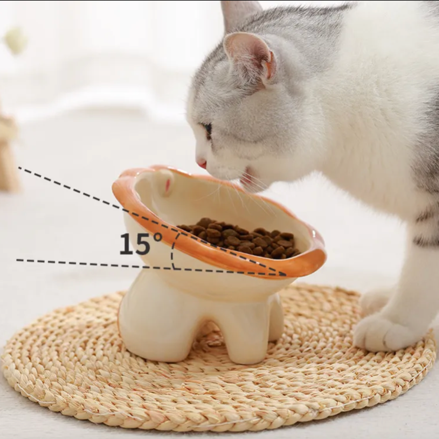 Ceramic Pet Bowl - Kimbowny Petstore
