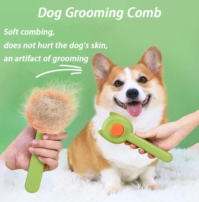 Pet Brush - Kimbowny Petstore