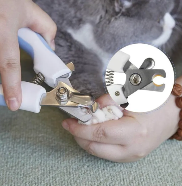 Pet Nail Clipper - Kimbowny Petstore