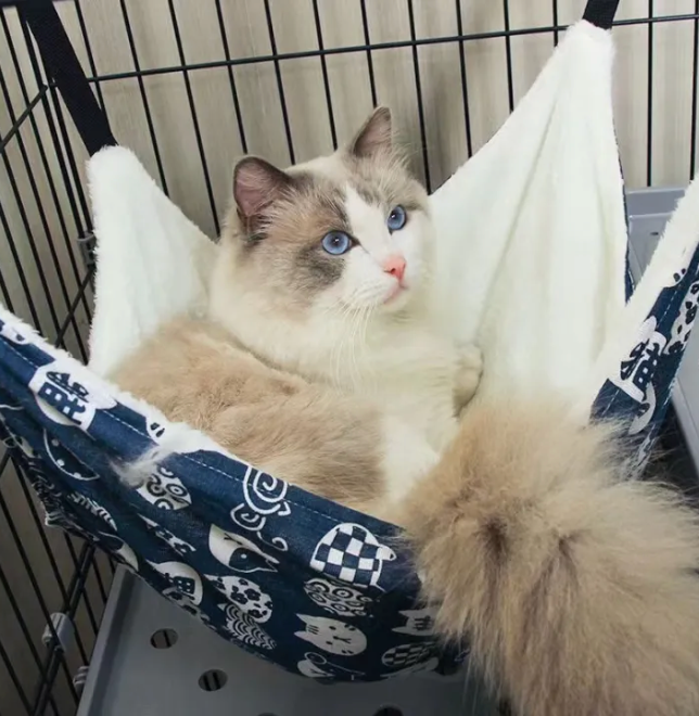 Pet Hammock - Kimbowny Petstore