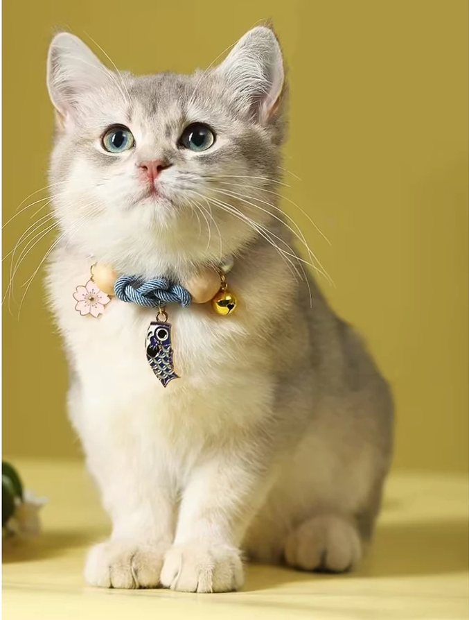 Pet Collar Fish - Kimbowny Petstore