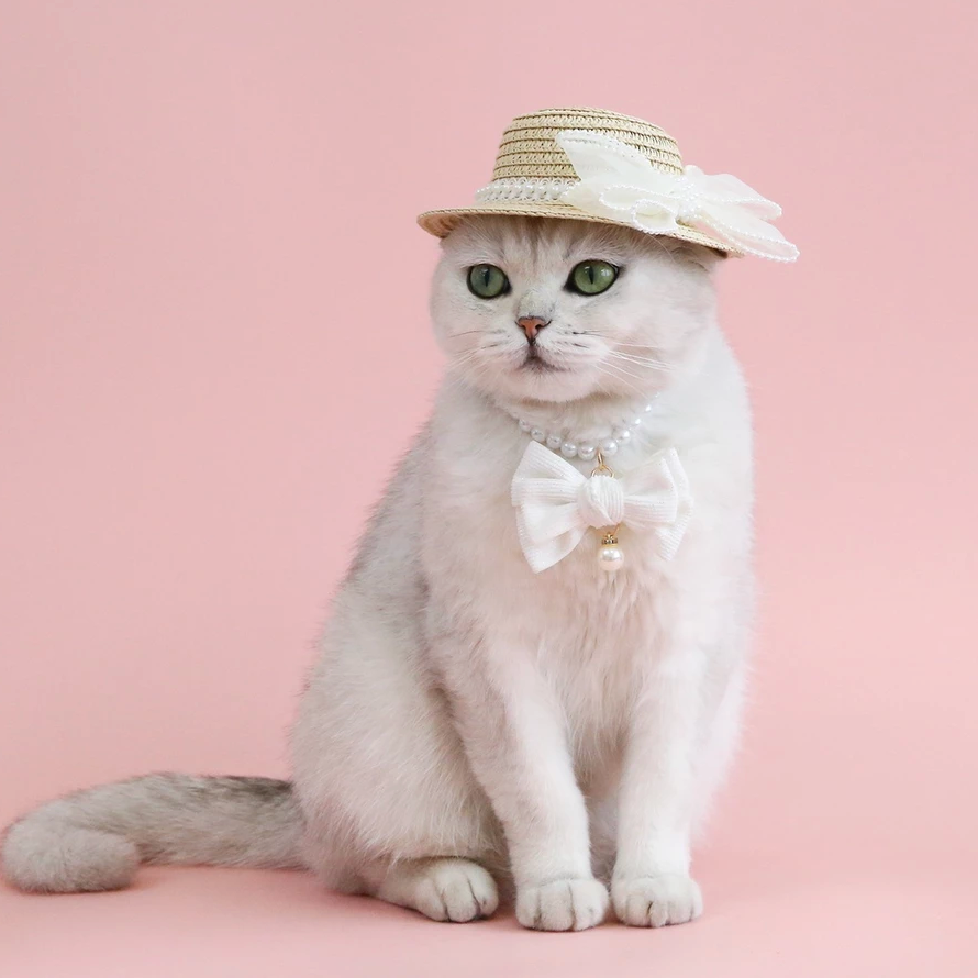 Pet Collar Pearl - Kimbowny Petstore