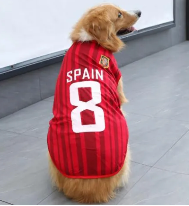 Pet Jersy Spain - Kimbowny Petstore