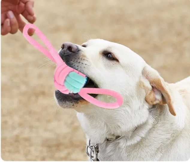 Durable Chew Knot Toy - Kimbowny Petstore