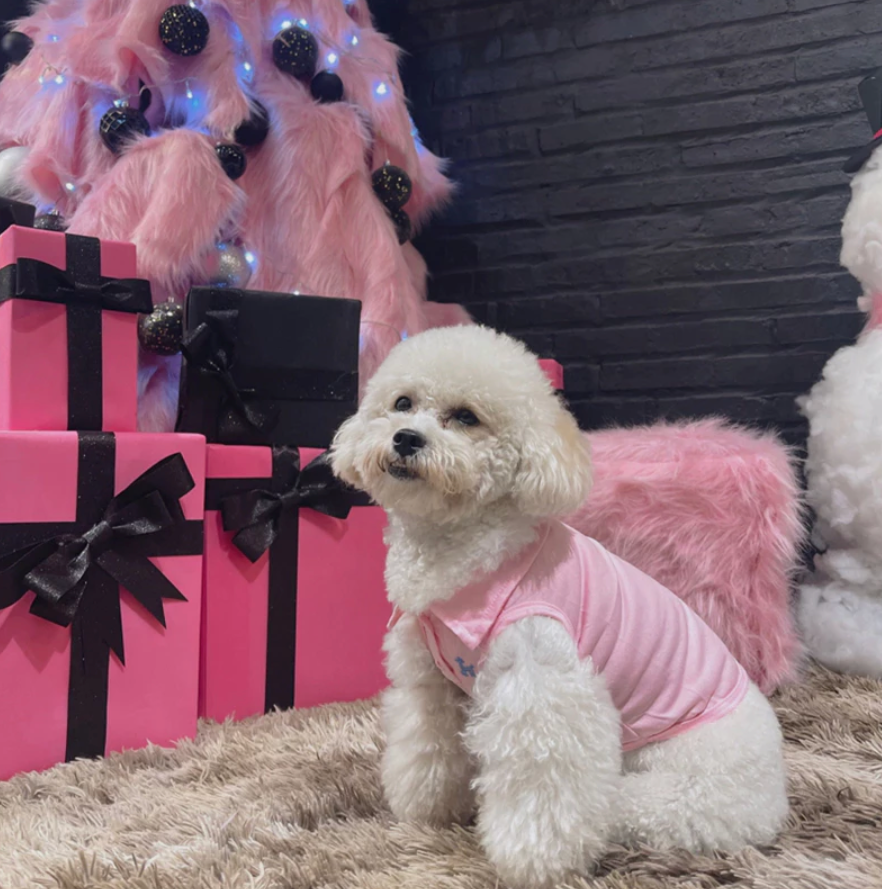 Pet Stylish Polo Shirts - Kimbowny Petstore